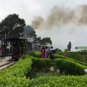 （インドの旅④）紅茶と鉄道の町 ダージリン　